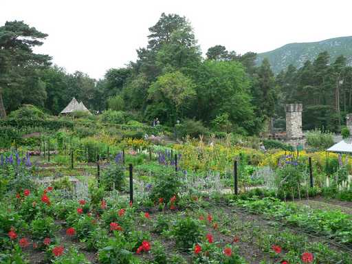 Tuin bij Glenveagh Castle
